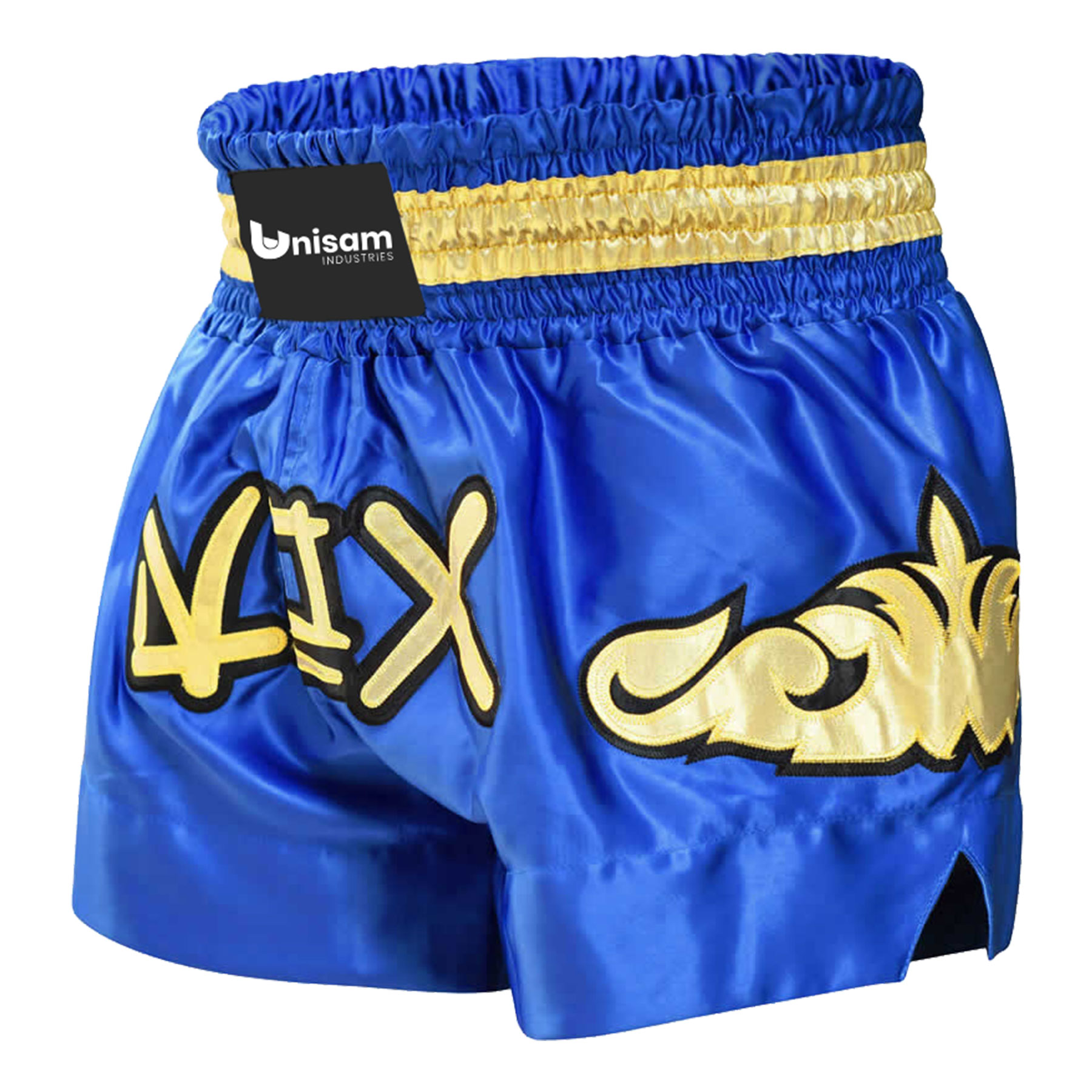 Muay Thai Short Muay Thai Short - Image 1